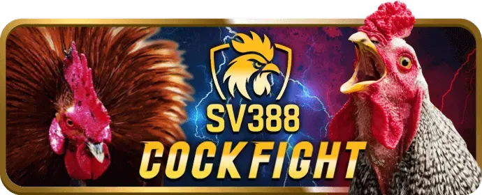 Cá cược thể thao Hello88
